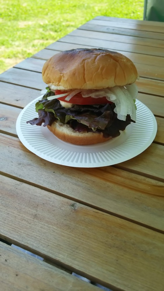 常陸牛ハンバーガー、串物、カキ氷、ドリンク｜カフェアルコイリス