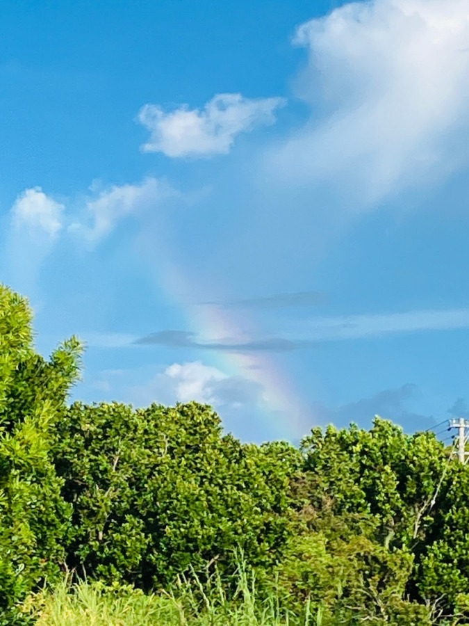 ブース29a｜エンジェルリーディング10分無料チケット｜Salon de Miracle