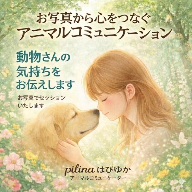 アニマルコミュニケーター｜pilina(ピリナ) はぴゆか　