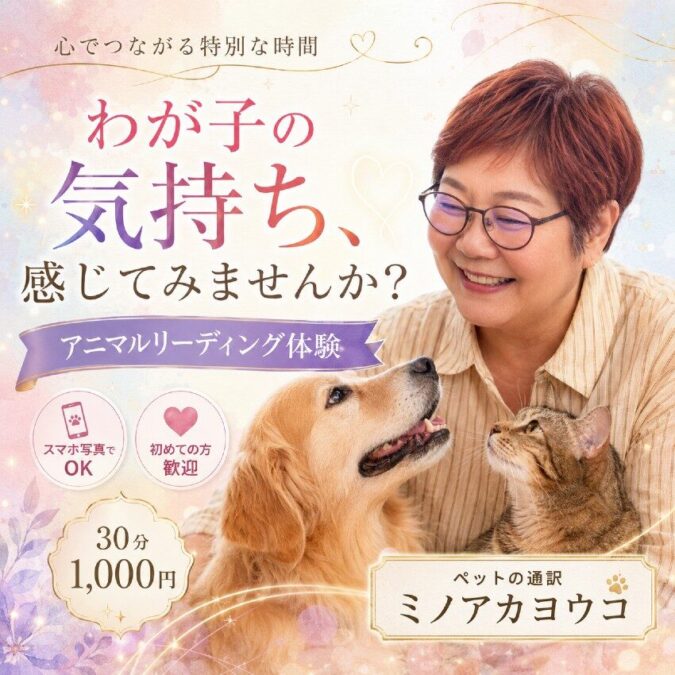 わが子の気持ち、 感じてみませんか?|ミノアカヨウコ