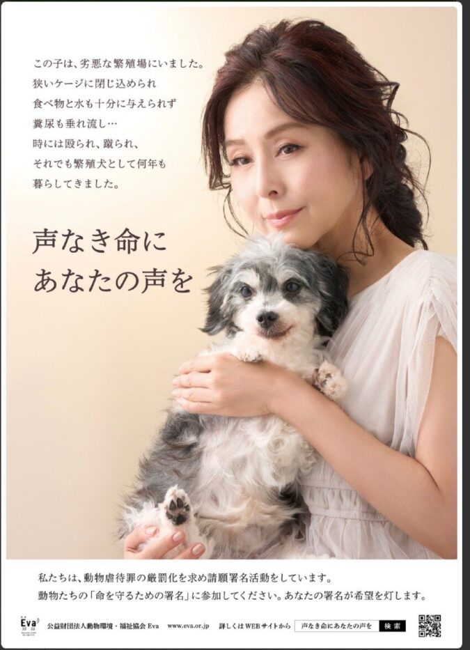 🐾 動物たちの未来を守る署名ブース|ワンニャンLOVE倶楽部